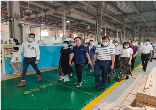 湛江市副市长何嘉旻率队到太阳成集团tyc7111cc集团开展援企稳岗调研及企业服务日活动